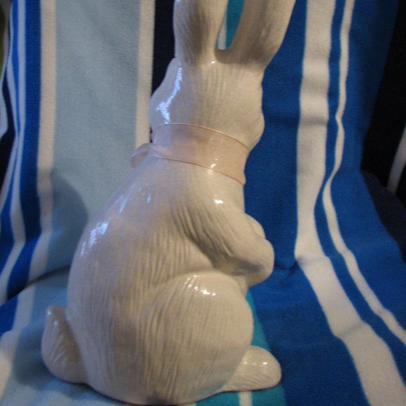 Bunny Rabbit - Picture 4 of 6